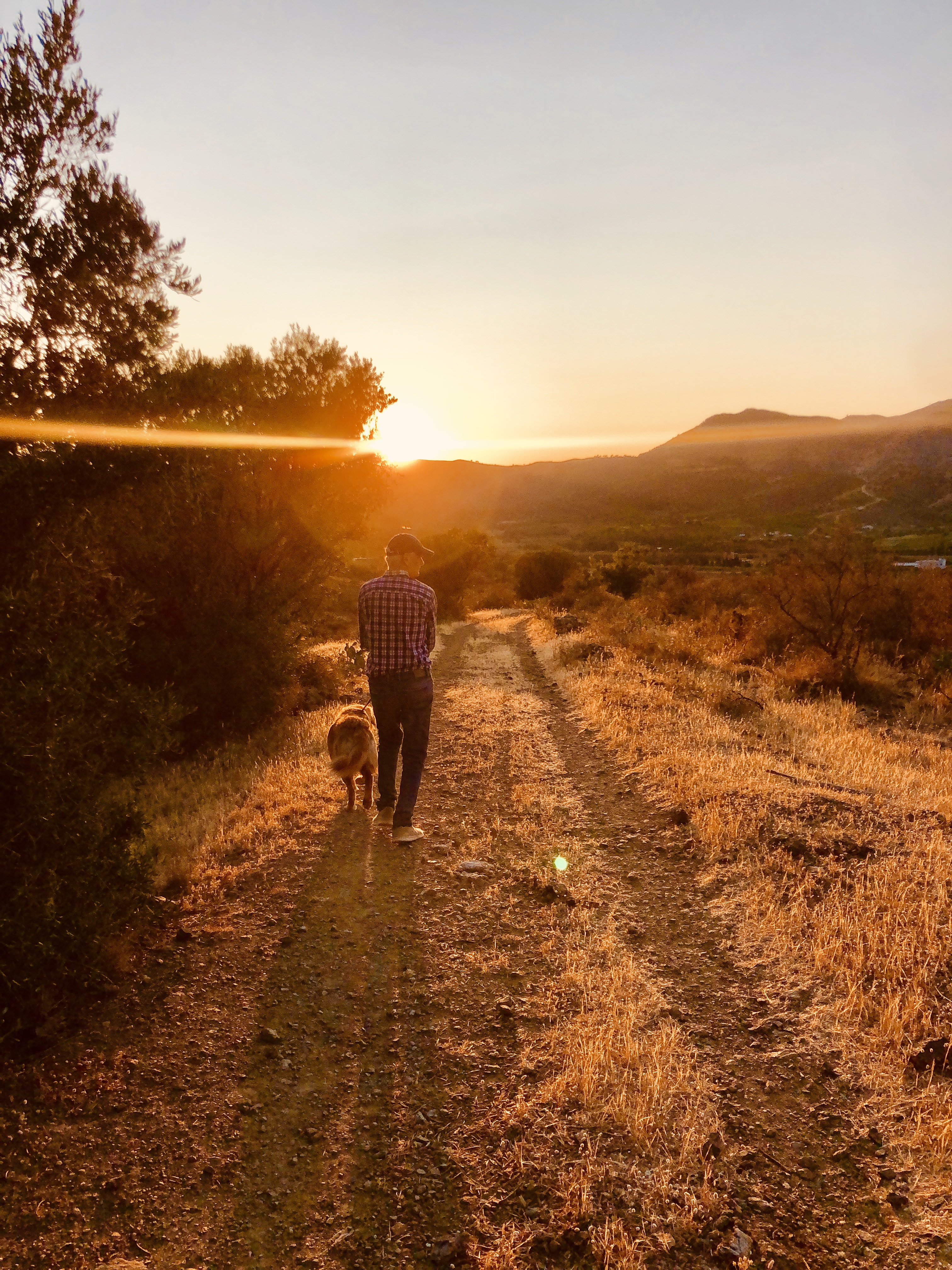 hotel, carbonell, llança, llanca, llansa, llançà, costabrava, mar, mediterrani, emporda, ampurdan, dalí, pool, relax, spa, rooms, habitaciones, platja, playa, sea, beach, family, familia, mar, platja, cala, mediterrani, costa, brava, habitacions, gym, gimnas, gastronomia, estrelles, natura, pirineus, catalunya, cataluña, espanya, españa, girona, gerona, turisme, turista, sol, playa, felicitat, pau
